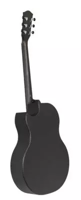 Sable Carbon Fiber Acoustic Guitar