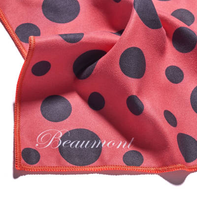 Beaumont - Flute Standard Polishing Cloth, Small - Ladybird