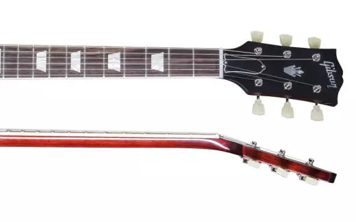 SG Standard Maple Top Ltd. - Dark Cherry