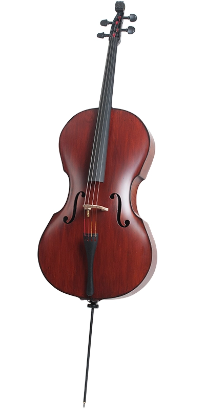 Appassionato Carbon Cello - Wood Grain Optic