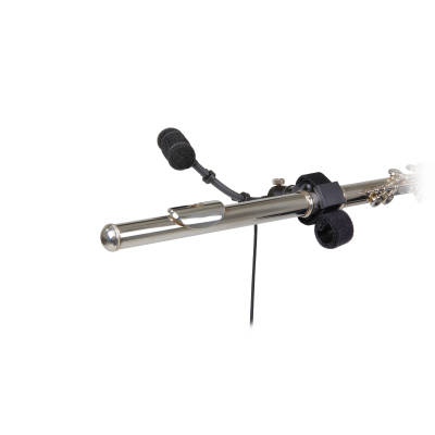 ATM350W Cardioid Condenser Instrument Microphone w/ Woodwind Clip-on Mounting System and 5\'\' Gooseneck