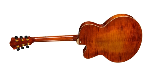 AR580CE-HB Archtop with Hardshell Case - Honeyburst