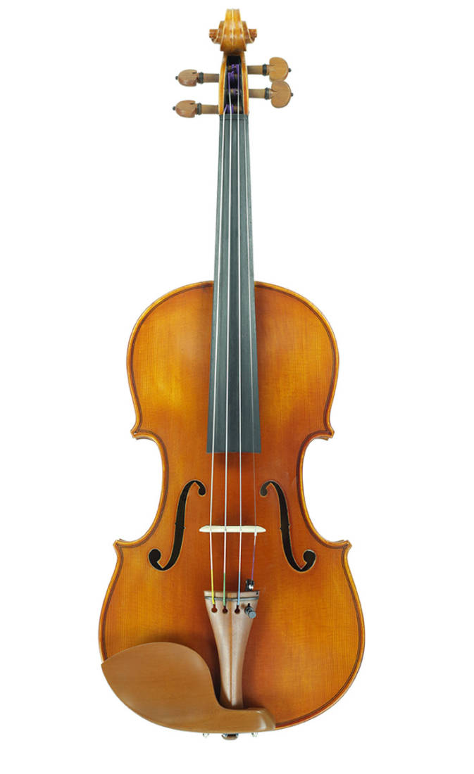 VL200 Violin Outfit - 1/10