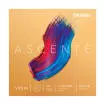 DAddario Orchestral - Ascente Violin String Set, 4\/4 Scale, Medium Tension