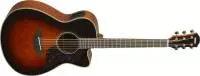 Yamaha - AC1M Spruce\/Mahogany Concert Cutaway - Tobacco Brown Sunburst