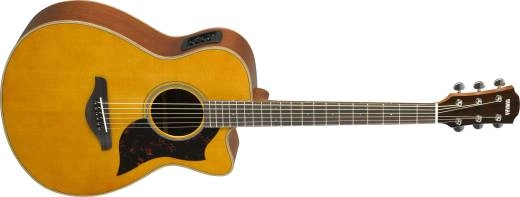 Yamaha - AC1M Spruce/Mahogany Concert Cutaway - Vintage Natural