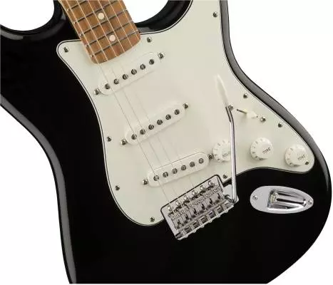 Standard Stratocaster, Pau Ferro Fingerboard - Black