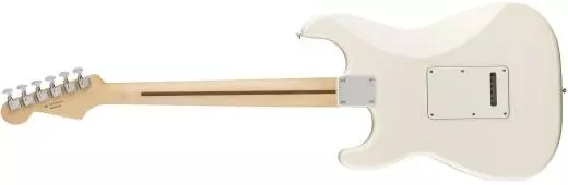 Standard Stratocaster, Pau Ferro Fingerboard - Arctic White