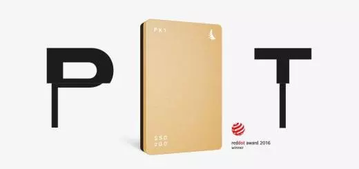 SSD2go PKT SSD Drive, 512GB - Gold