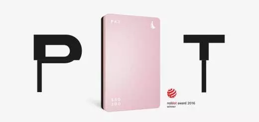 SSD2go PKT SSD Drive, 512GB - Rose