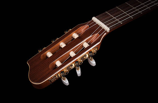Etude Nylon String Guitar w/QIT Pickup
