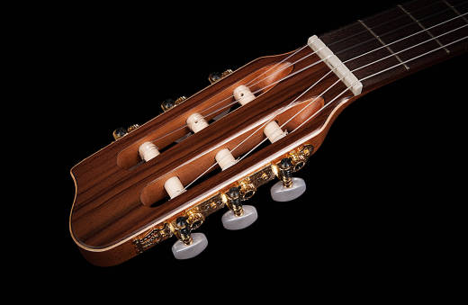 Motif Compact Nylon Guitar