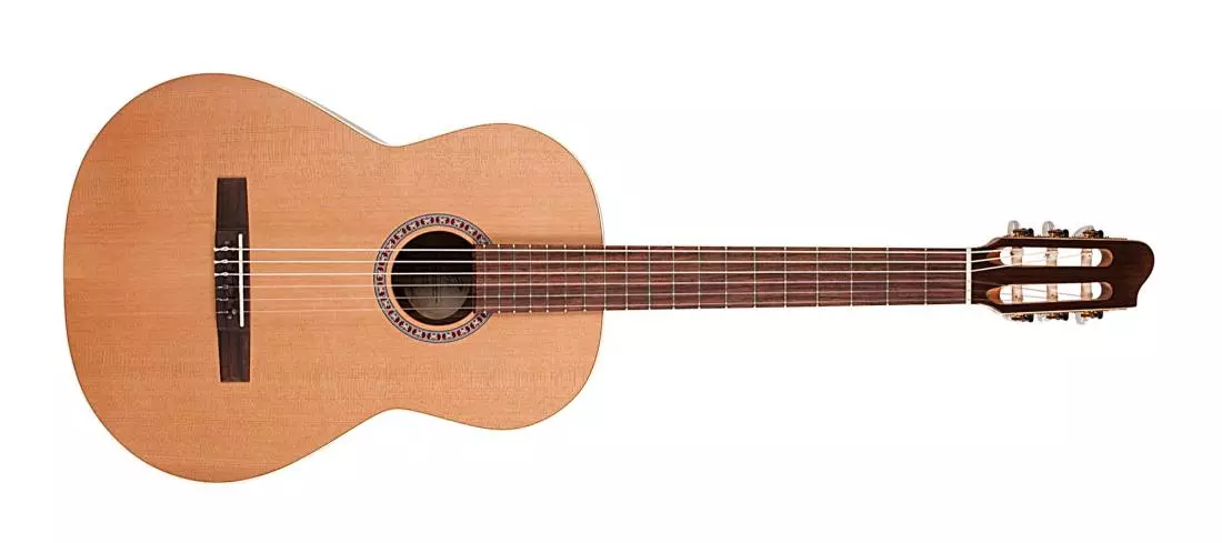 Presentation Nylon String Guitar