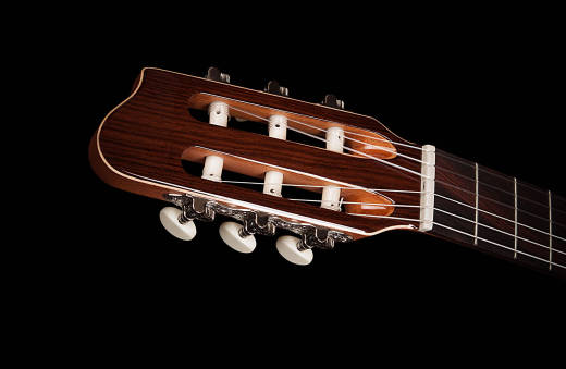 Collection Cedar/Rosewood Nylon String Guitar
