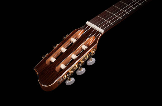 Concert Mahogany/Cedar Guitar w/ Q1T Pickup