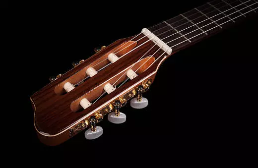 Concert CW Guitar w/Q1T pickup