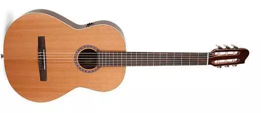 Collection Rosewood/Cedar Acoustic Guitar w/QIT Pickup