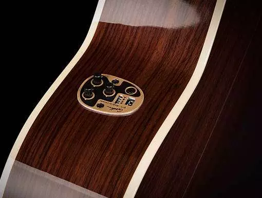 Collection Rosewood/Cedar Acoustic Guitar w/QIT Pickup