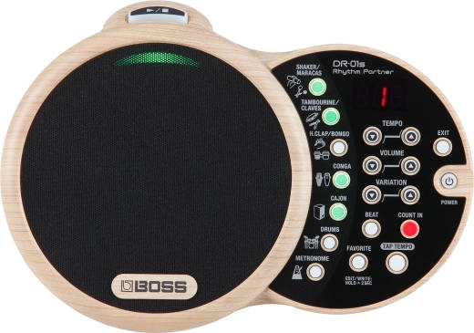 BOSS - DR-01S Rhythm Partner Drum Machine