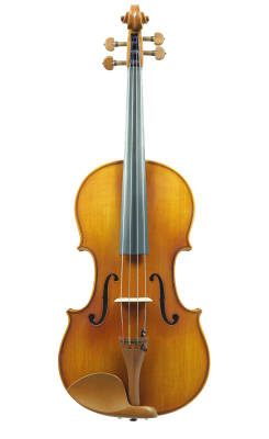 Eastman Strings - VA200 Viola Outfit 15.5