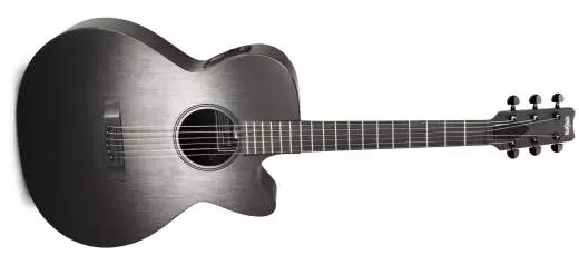 Concert Hybrid WS-Body Acoustic Guitar w/Electronics