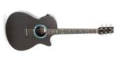 RainSong - Concert Series OM-Body Acoustic Guitar w/Electronics