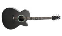 RainSong - Concert Series WS-Body Acoustic Guitar w/Electronics
