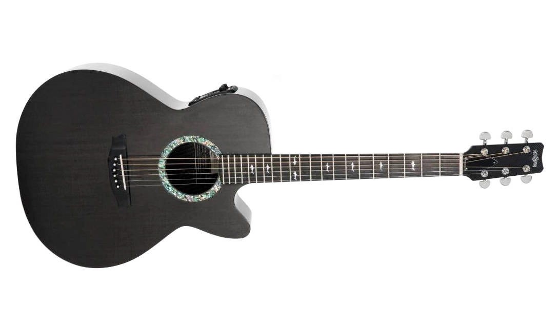 Concert Series WS-Body Acoustic Guitar w/Electronics