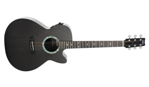 Concert Series WS-Body Acoustic Guitar w/Electronics