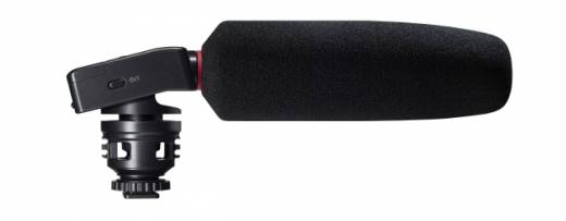 DR-10SG Camera-Mount Audio Recorder w/ Shotgun Mic