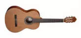 Almansa - A-400 Classical Guitar - Cedar\/Laminated Mahogany, Matte Finish