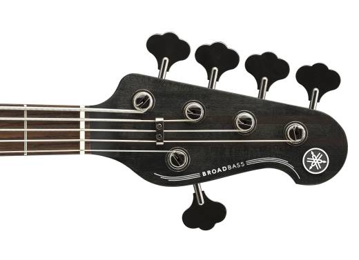BB700 Series 5-String Bass Guitar - Matte Transparent Black