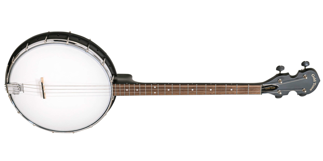AC-4 Acoustic Composite 4-String Openback Tenor Banjo w/Gig Bag