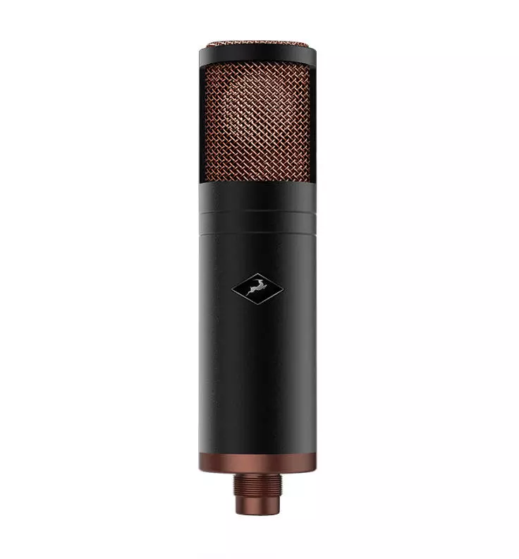 Edge Modeling Condenser Microphone