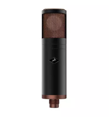 Edge Modeling Condenser Microphone