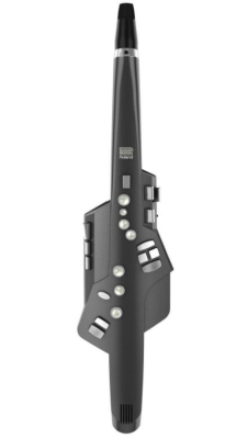Roland - Aerophone AE-10 Digital Wind Instrument - Graphite