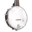 Concert Scale Banjo Ukulele with Gig Bag