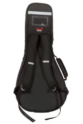 Mandolin Bag 100 Series