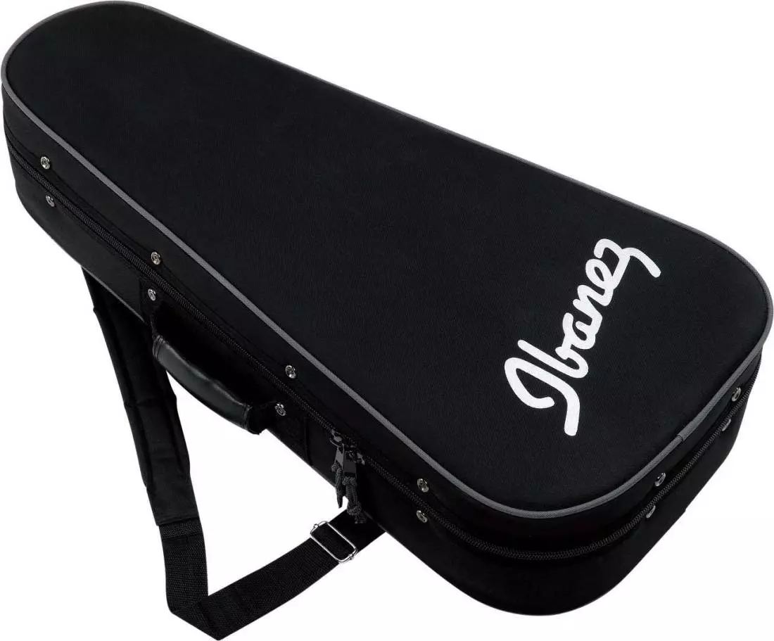 Foamed Case for Mandolins