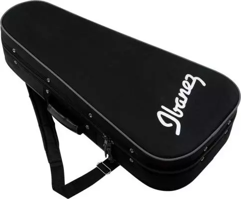 Foamed Case for Mandolins
