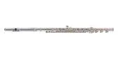 "Carlton - CFL200 Flute w\/Solid Silver Headjoint, Open Hole, B Foot, Offset G"