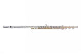 Carlton - CFL300 Flute w/Solid Silver Headjoint and Body, Open Hole, B Foot, Offset G