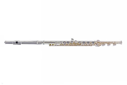 Carlton - CFL300 Flute w/Solid Silver Headjoint and Body, Open Hole, B Foot, Offset G