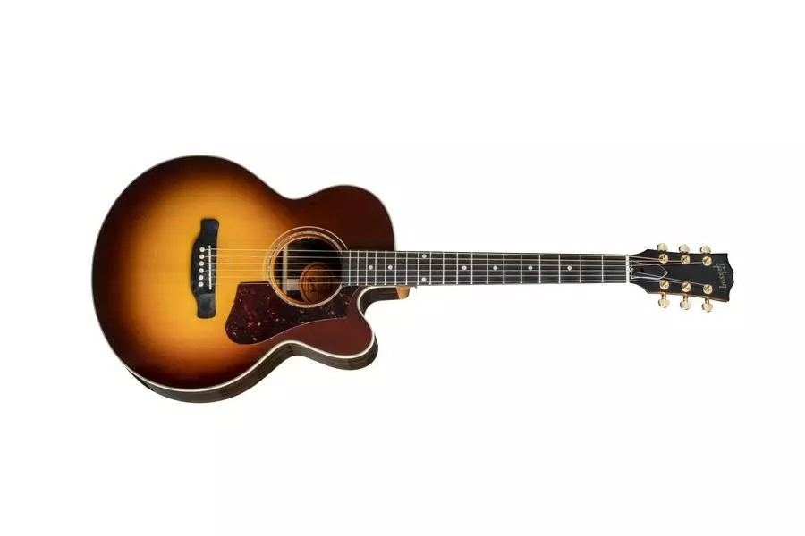 2018 Parlor Rosewood AG Avant Garde - Rosewood Burst