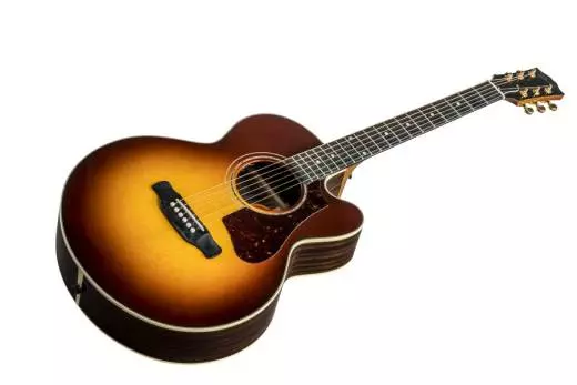 2018 Parlor Rosewood AG Avant Garde - Rosewood Burst