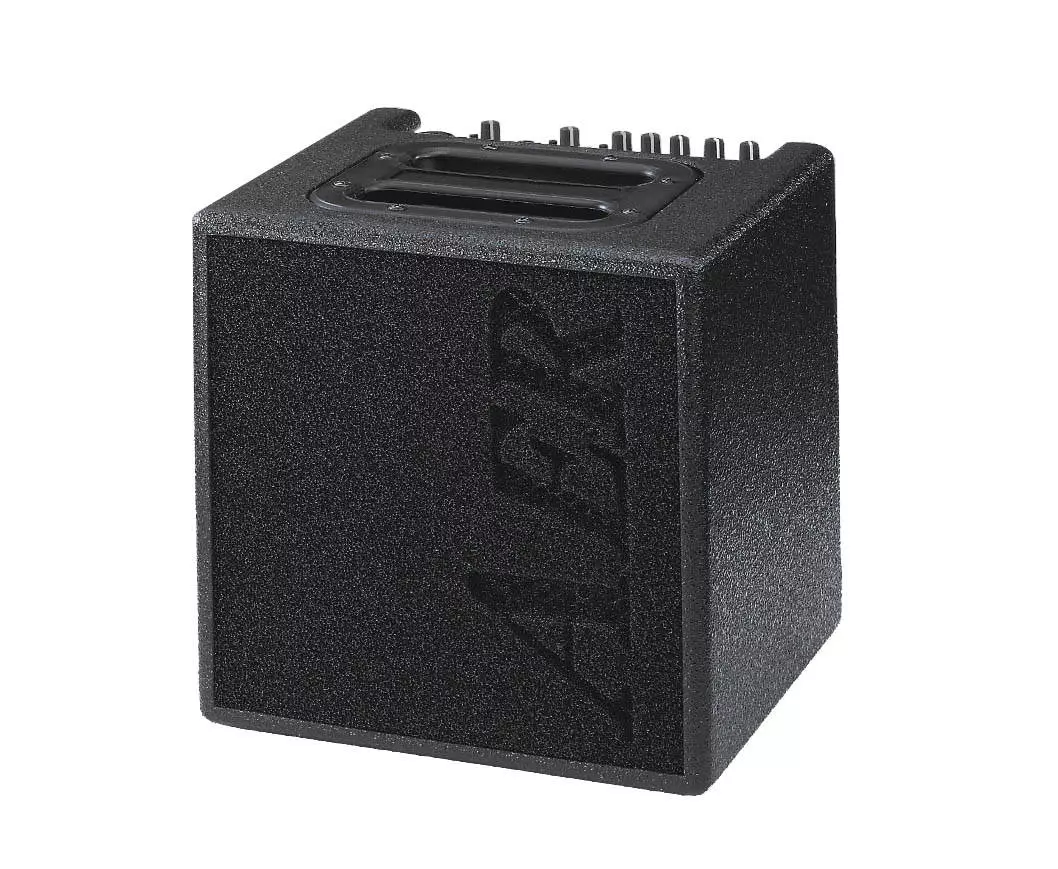 Alpha 40W 1x8 Acoustic Guitar Combo Amp - Black