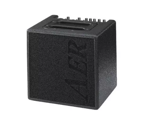 Alpha 40W 1x8 Acoustic Guitar Combo Amp - Black