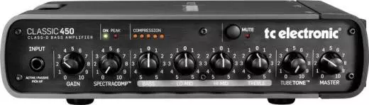 Classic 450 - Bass Head Class D Power