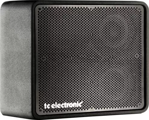 4x10 Cab with HF Driver
