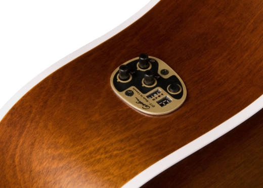 Entourage Cutaway Acoustic Guitar with QIT - Autumn Burst